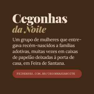 Cegonhas da Noite