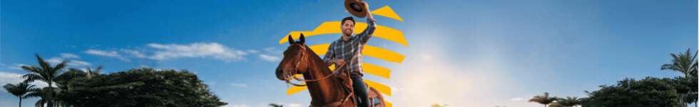 Publicidade
